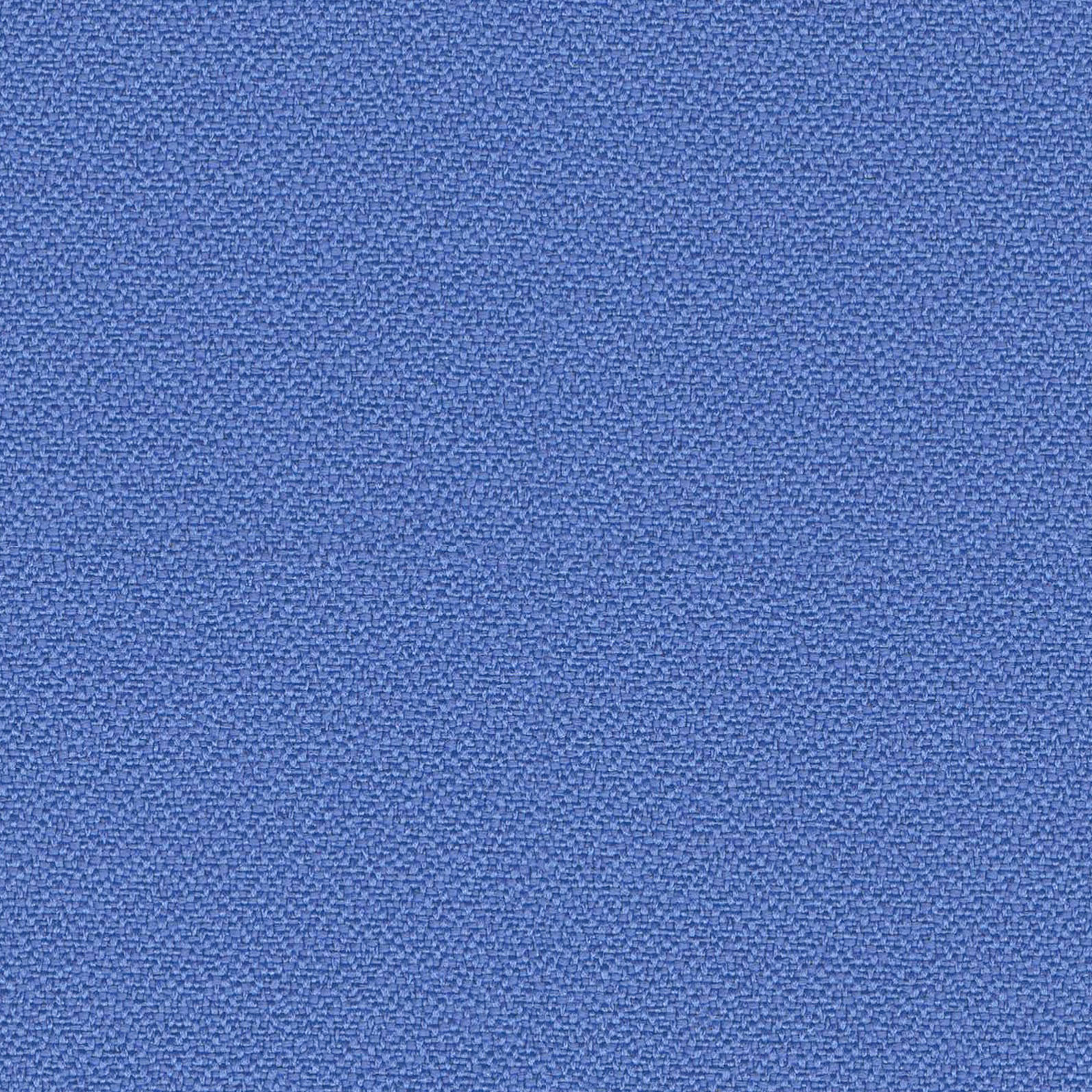 Bluebell